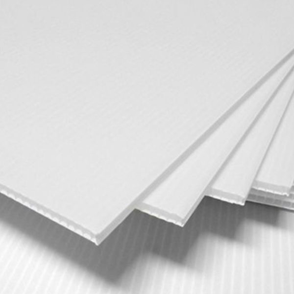 600 W x 450 H Core Flute (126766) - Image 2