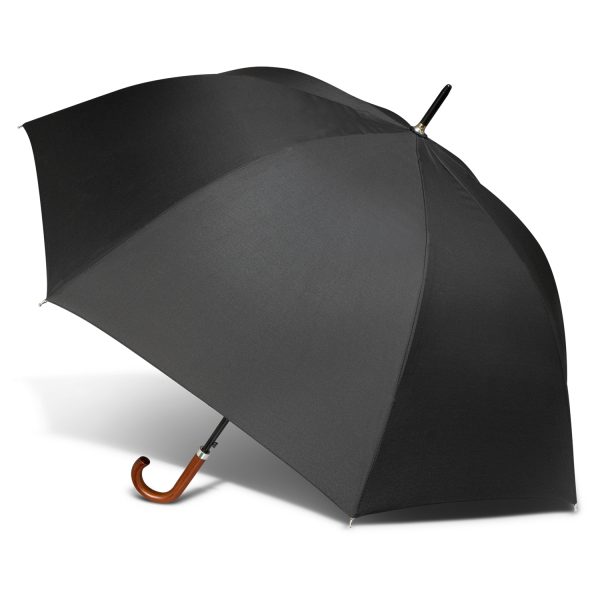 Executive Umbrella (202702)