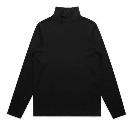AS Colour - 4032 - TURTLE NECK
