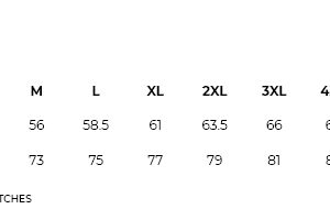 Ramo - PS101S - Hi Vis  Polo